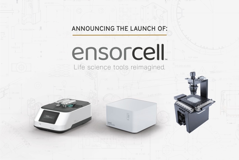0-News-Ensorcell-ReBuild-PressRelease-Image